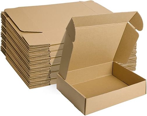 Las pequeñas cajas de cartón acanalado para el anuncio publicitario 12x9x3 de la literatura que embala avanzan lentamente